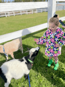 travel to you zoo animals and pricing