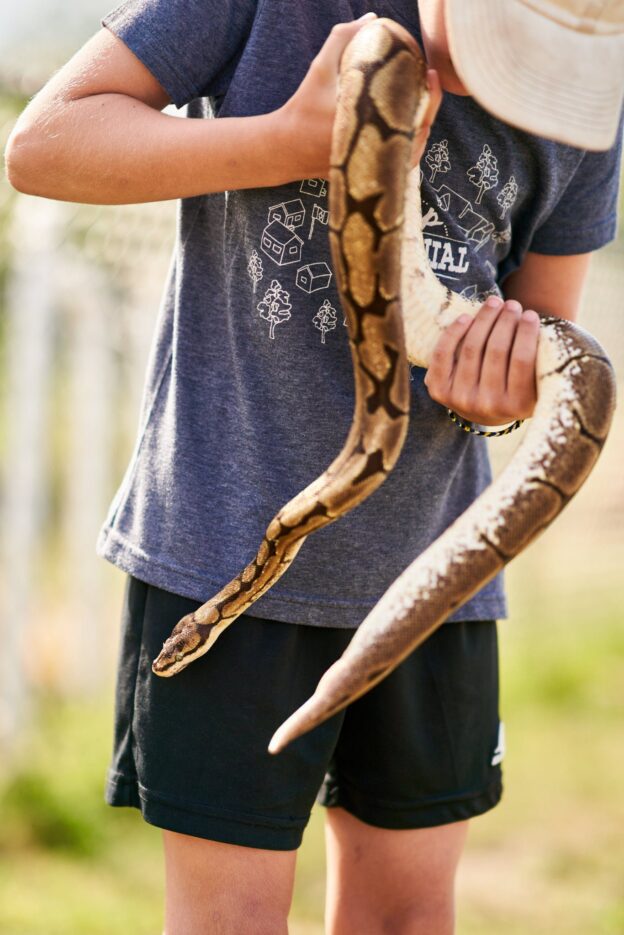 travel to you zoo home services