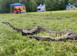our services travel to you zoo