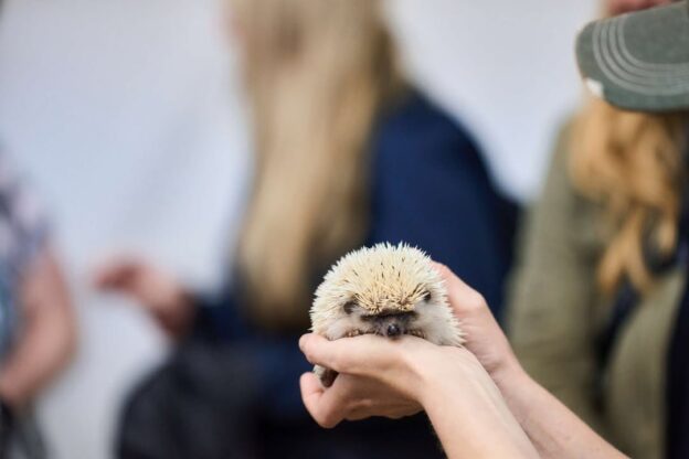 travel to you zoo home about