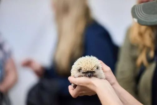 travel to you zoo home about travel to you zoo home about